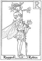 coloriage fee ragged robin